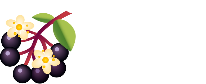 Midwest Elderberry