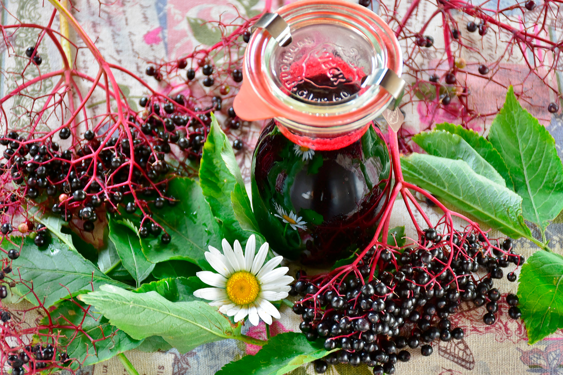 Thermally Dried American Elderberries - Image 2