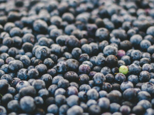 Frozen Aronia Berries