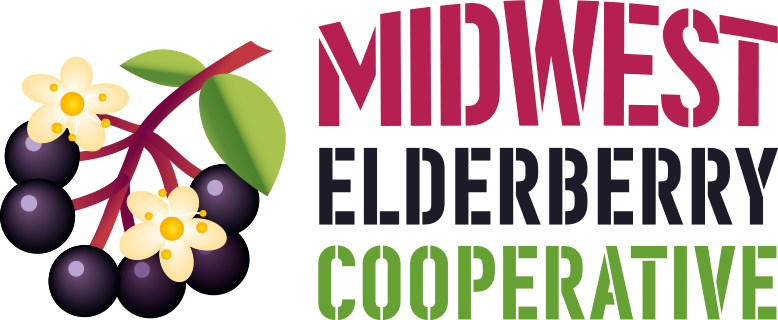 Midwest Elderberry